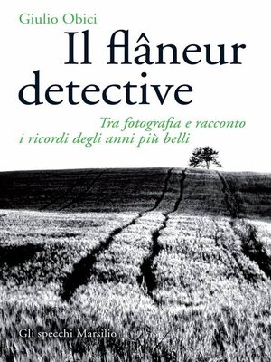 cover image of Il flâneur detective